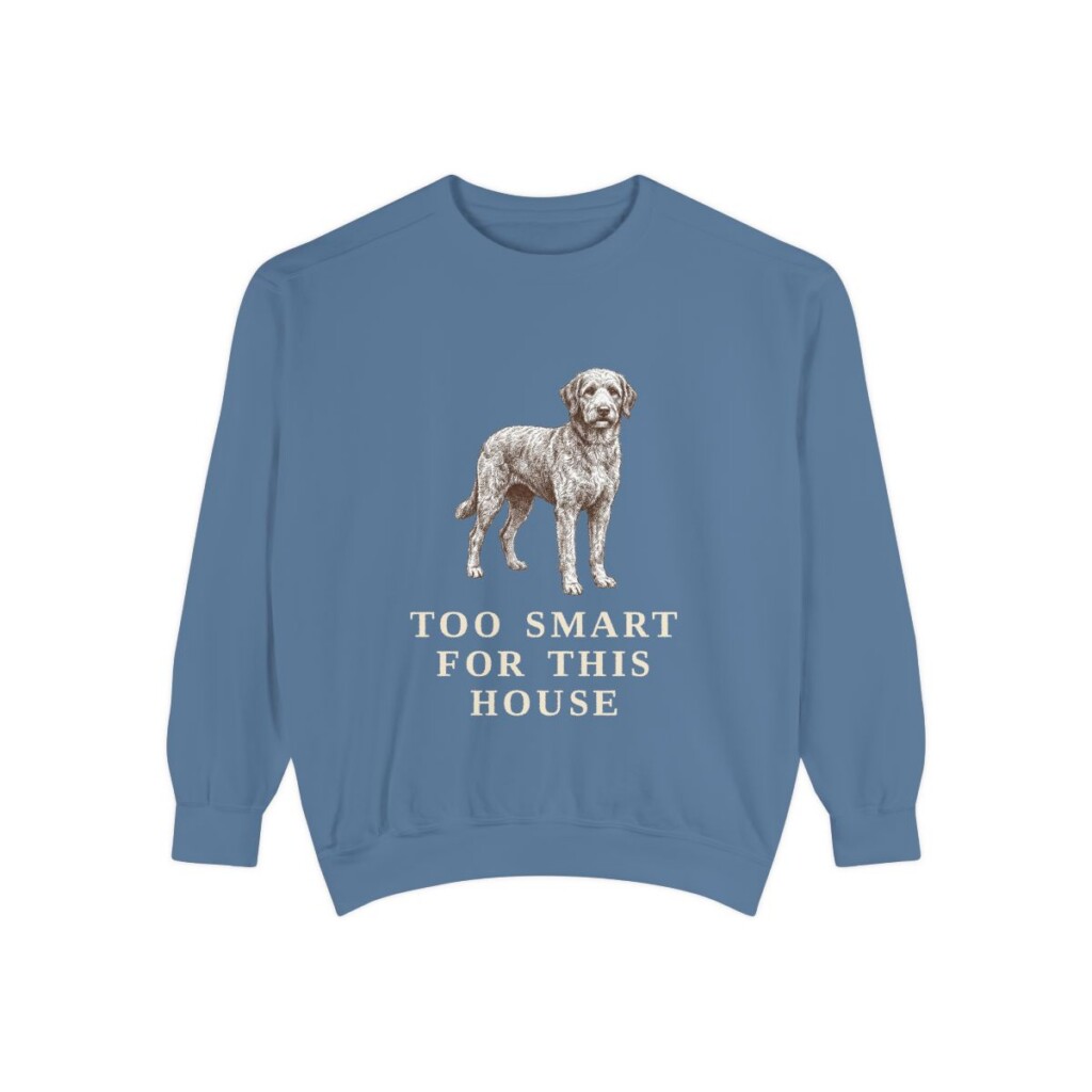 Aussiedoodle Humor Sweatshirt, Blue Jean, front view