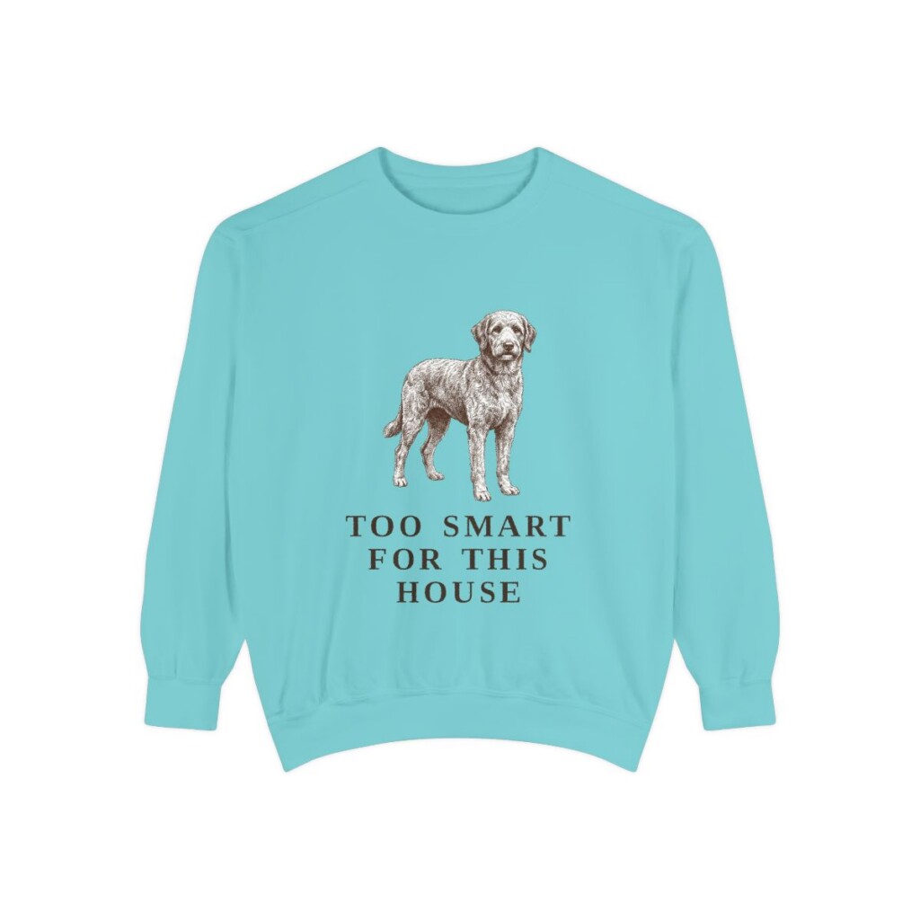 Aussiedoodle Humor Sweatshirt, Chalky Mint, front view
