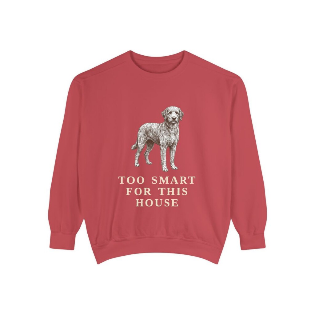 Aussiedoodle Humor Sweatshirt, Crimson, front view