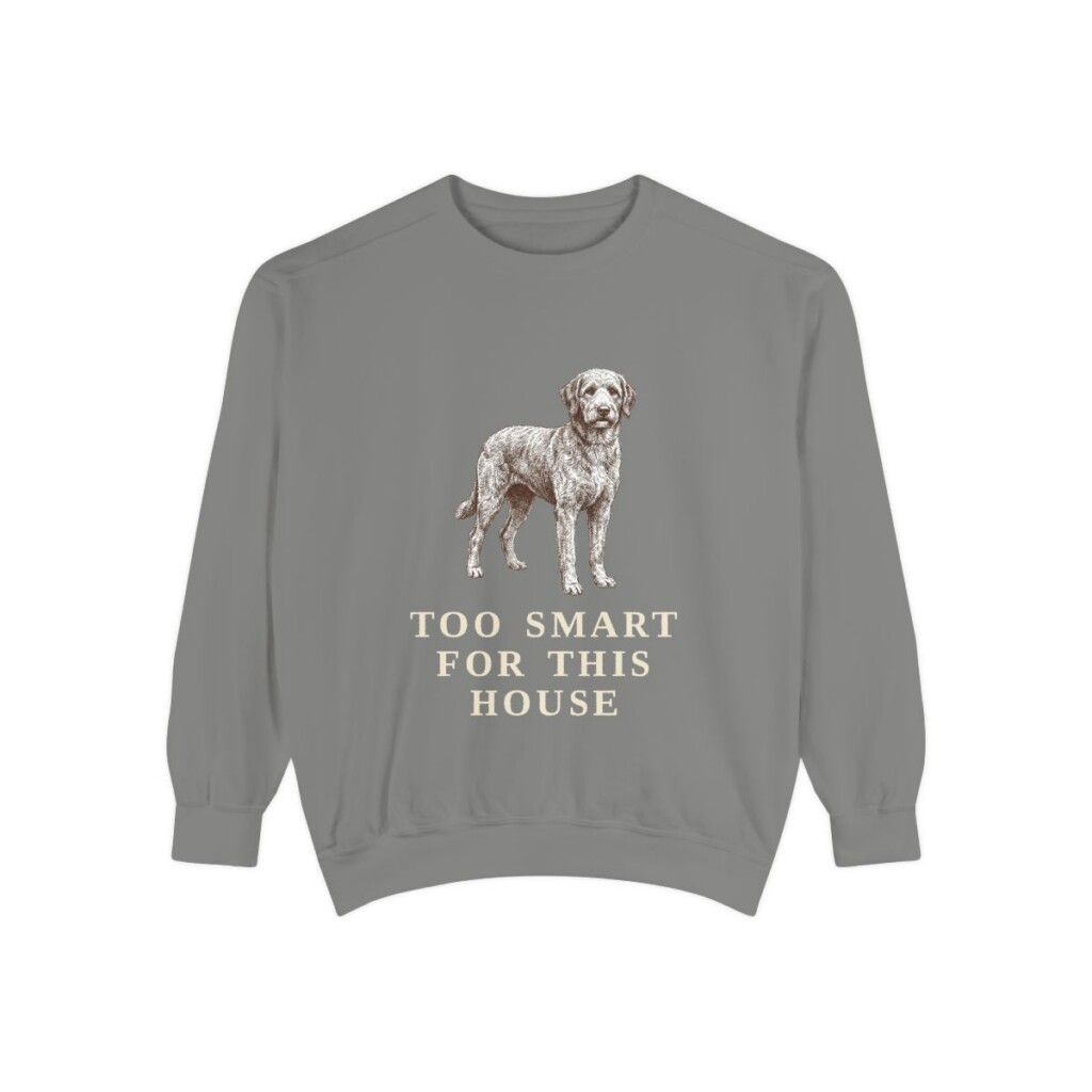 Aussiedoodle Humor Sweatshirt, Grey, front view