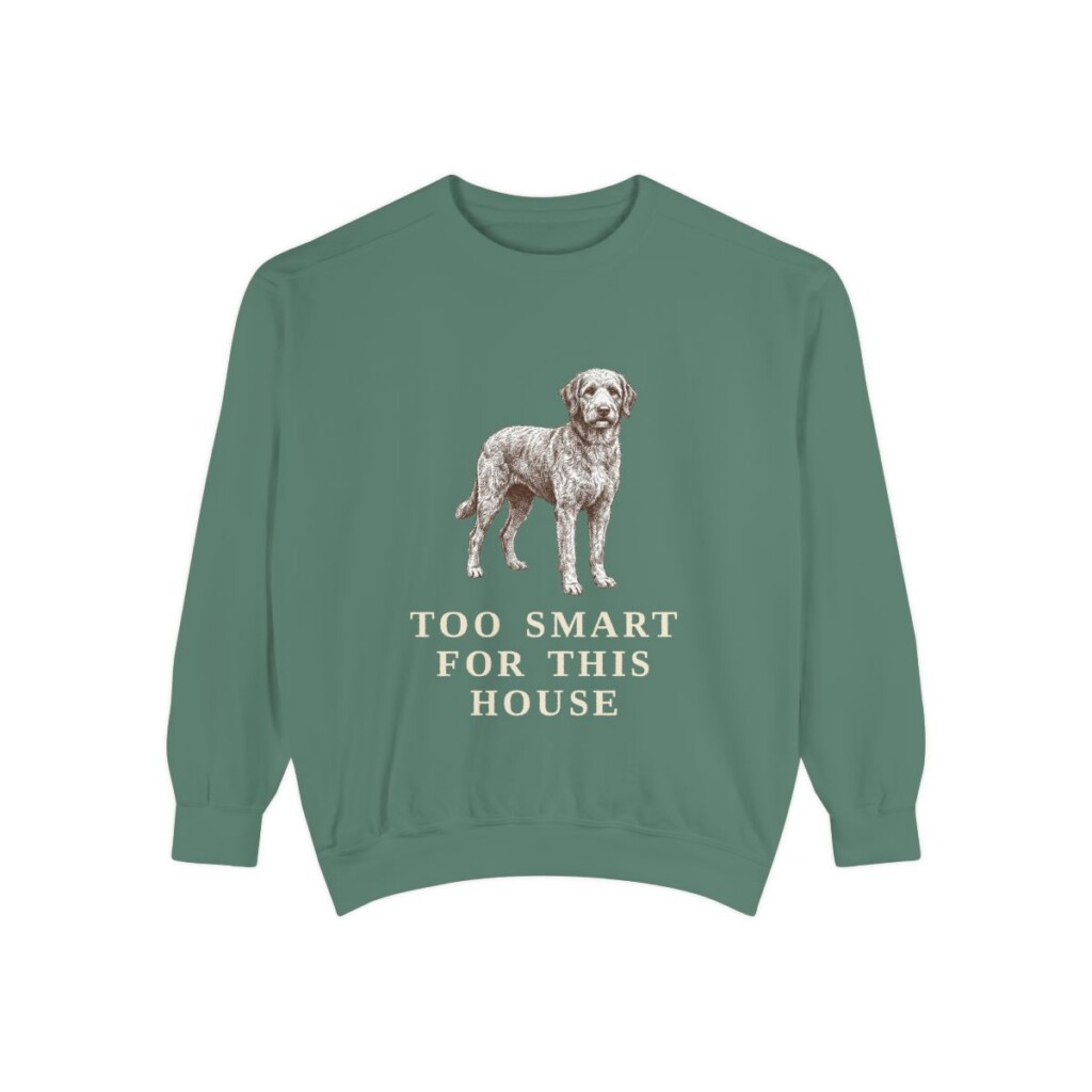 Aussiedoodle Humor Sweatshirt, Light Green, front view