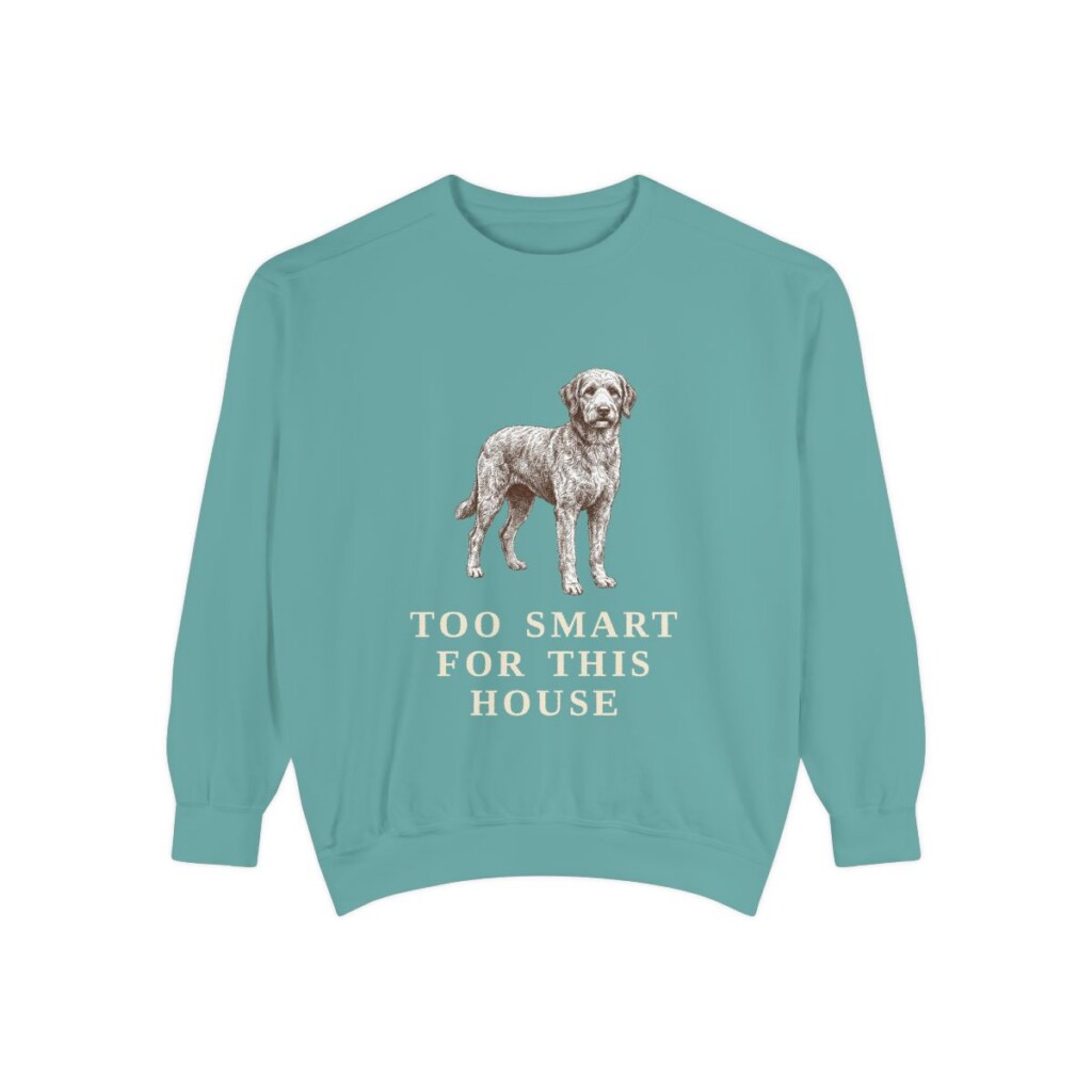 Aussiedoodle Humor Sweatshirt, Seafoam, front view