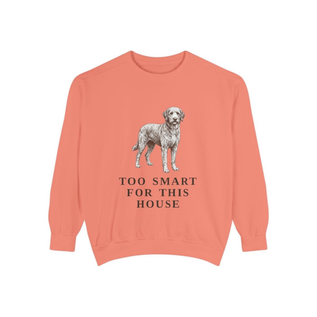 Aussiedoodle Humor Sweatshirt, Terracotta, front view