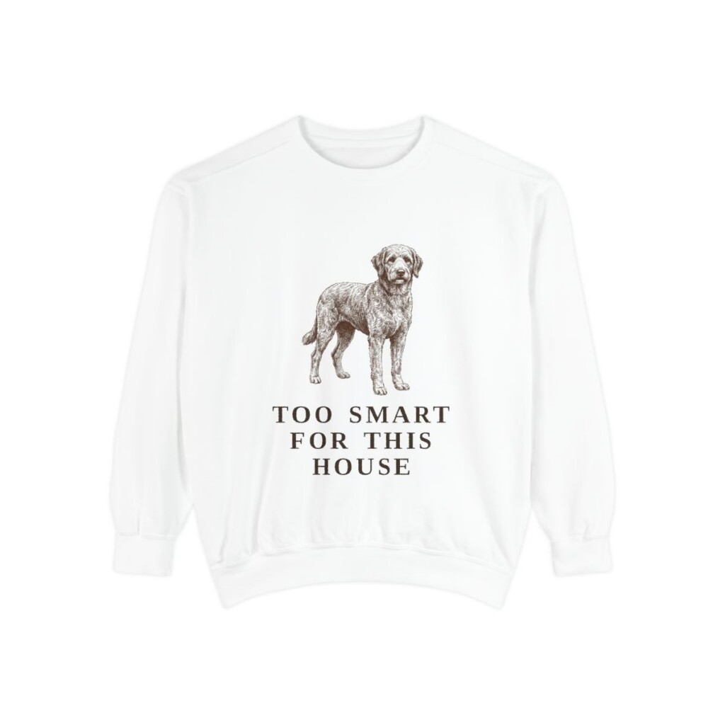 Aussiedoodle Humor Sweatshirt, White, front view