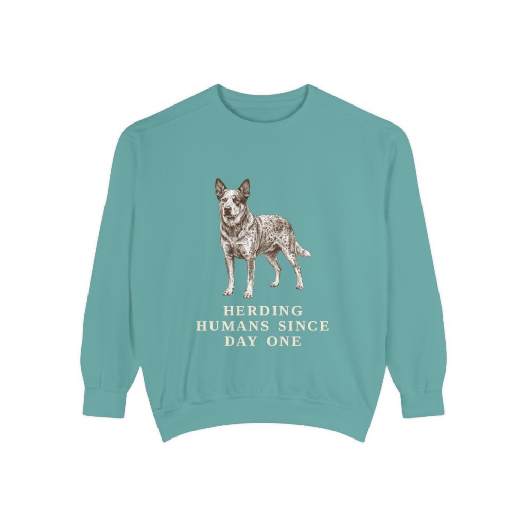 Australian Cattle Dog Humor Sweatshirt, Seafoam, front view