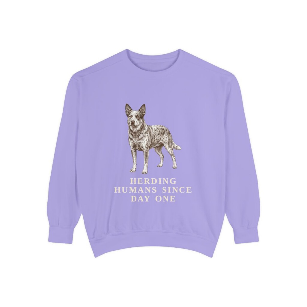 Australian Cattle Dog Humor Sweatshirt, Violet, front view