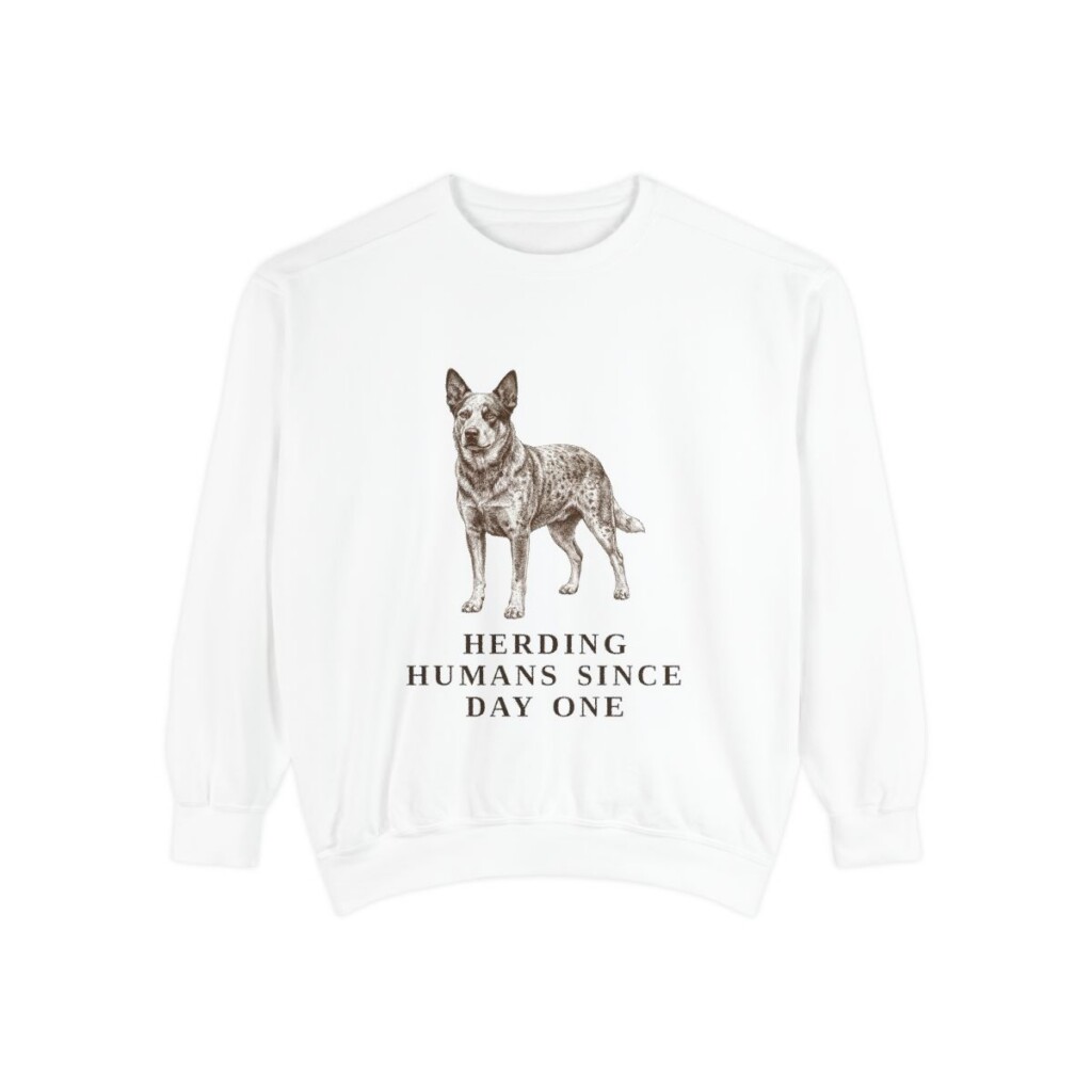 Australian Cattle Dog Humor Sweatshirt, White, front view