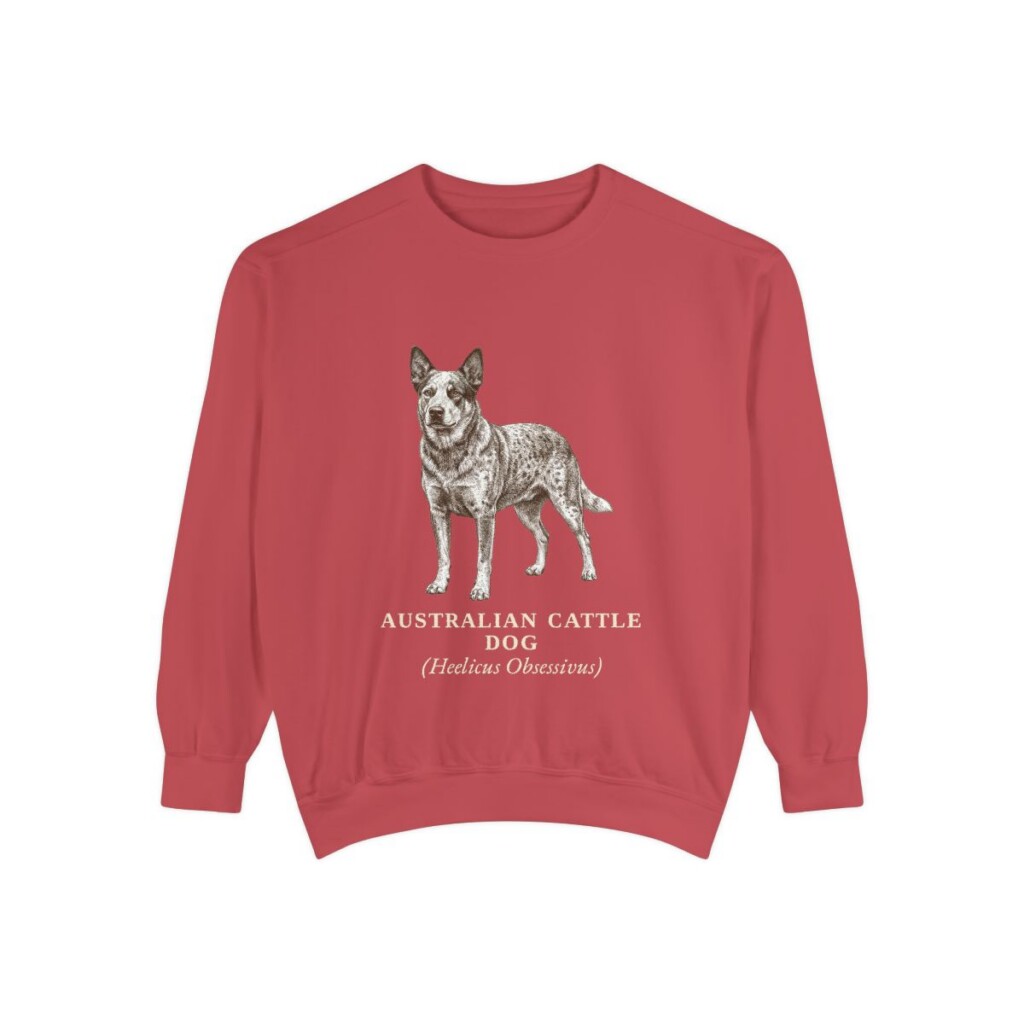 Australian Cattle Dog Latin Sweatshirt, Crimson, front view