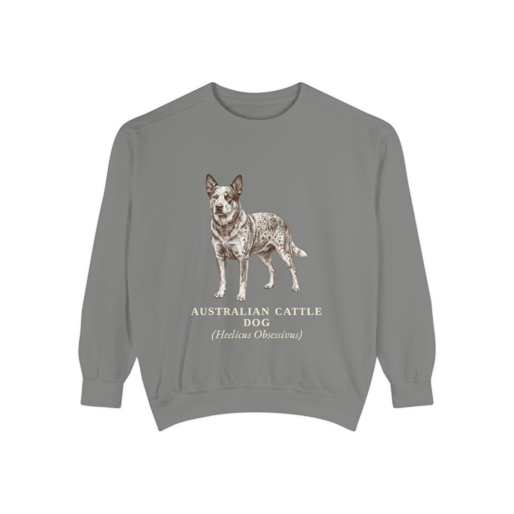 Australian Cattle Dog Latin Sweatshirt, Grey, front view