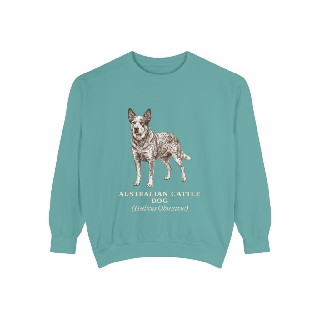Australian Cattle Dog Latin Sweatshirt, Seafoam, front view