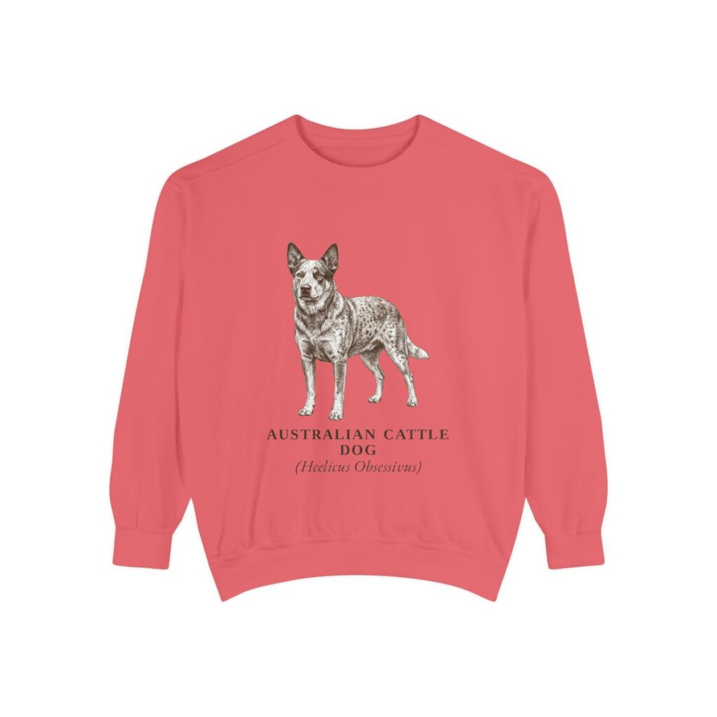 Australian Cattle Dog Latin Sweatshirt, Watermelon, front view