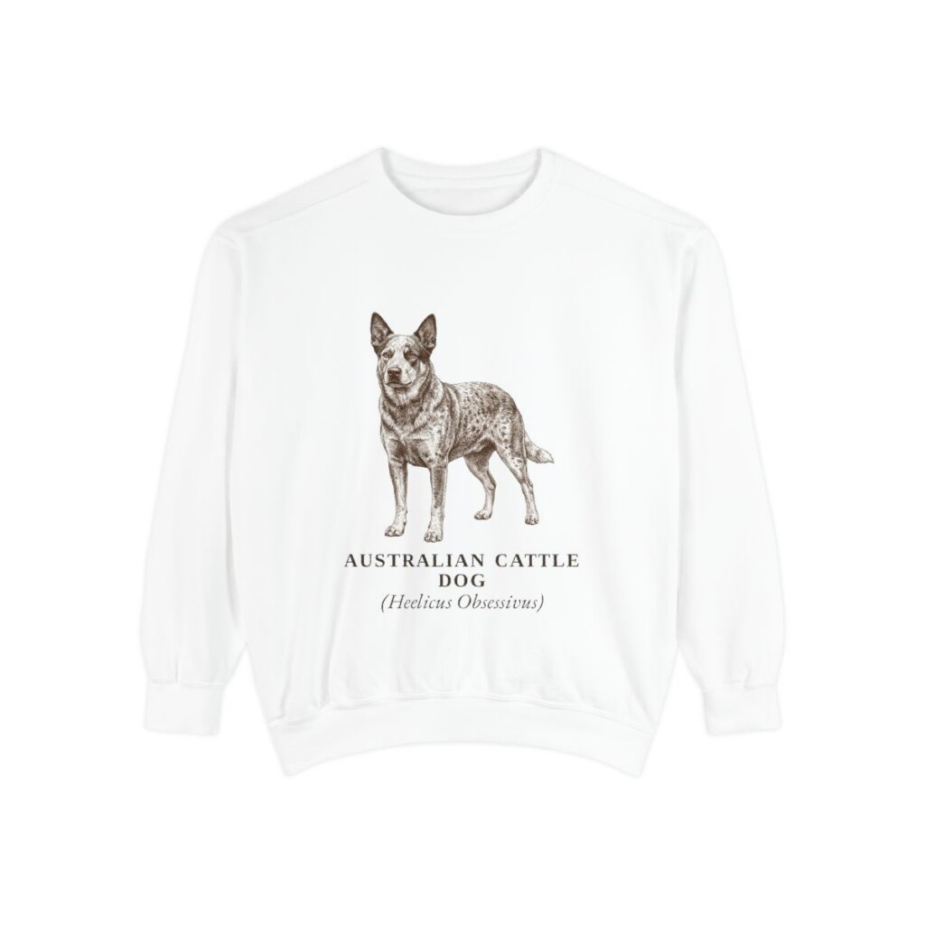 Australian Cattle Dog Latin Sweatshirt, White, front view
