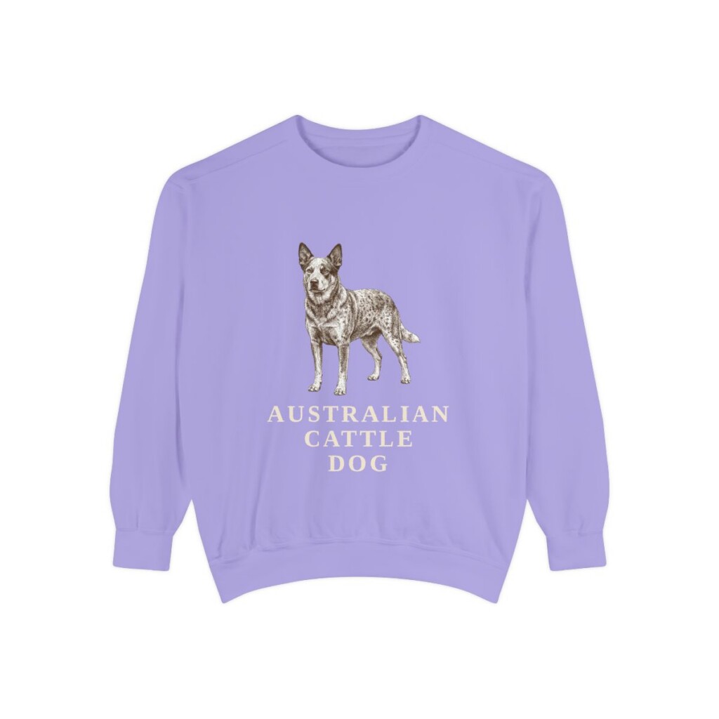 Australian Cattle Dog Sweatshirt, Violet, front view