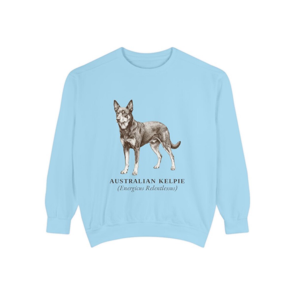 Australian Kelpie Latin Sweatshirt, Chambray, front view