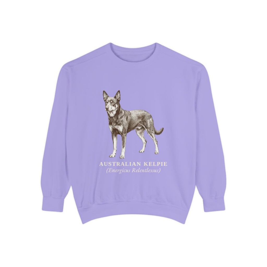 Australian Kelpie Latin Sweatshirt, Violet, front view