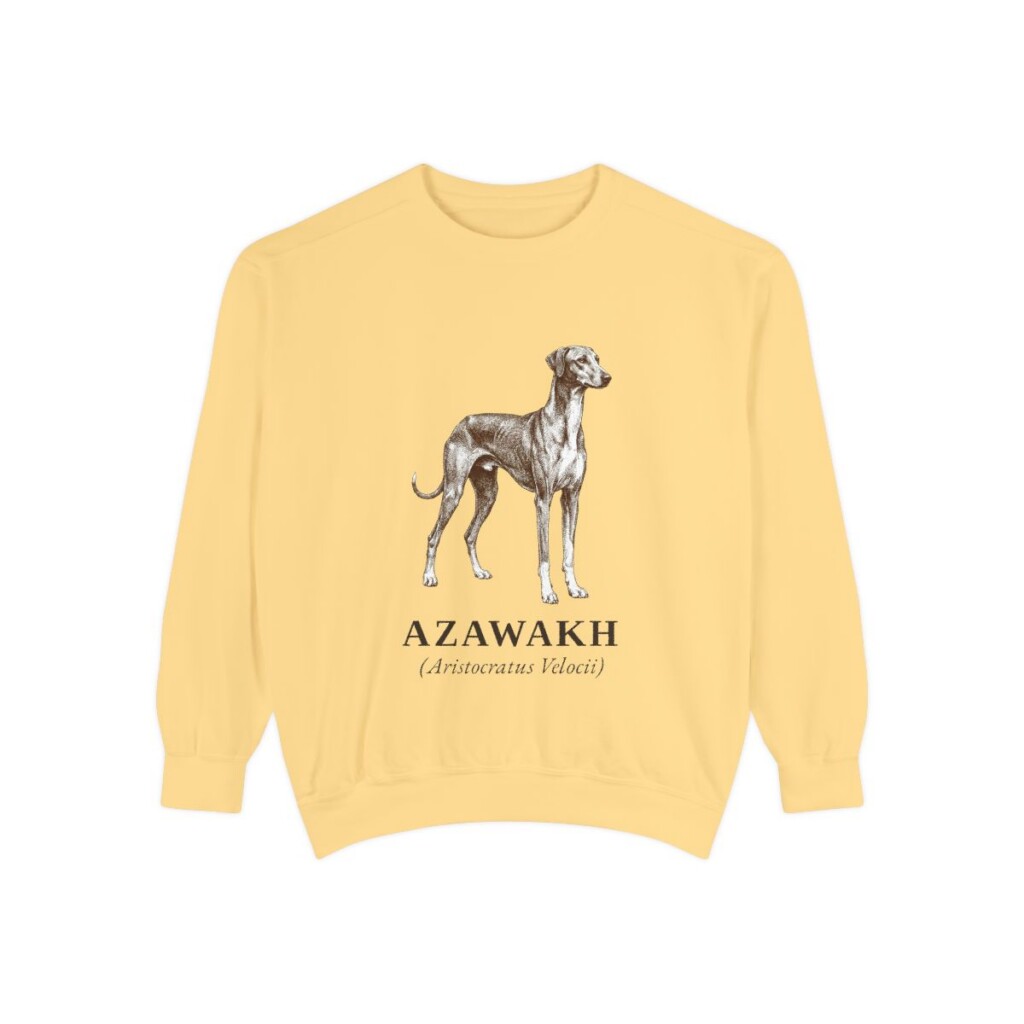 Azawakh Latin Sweatshirt, Butter, front view
