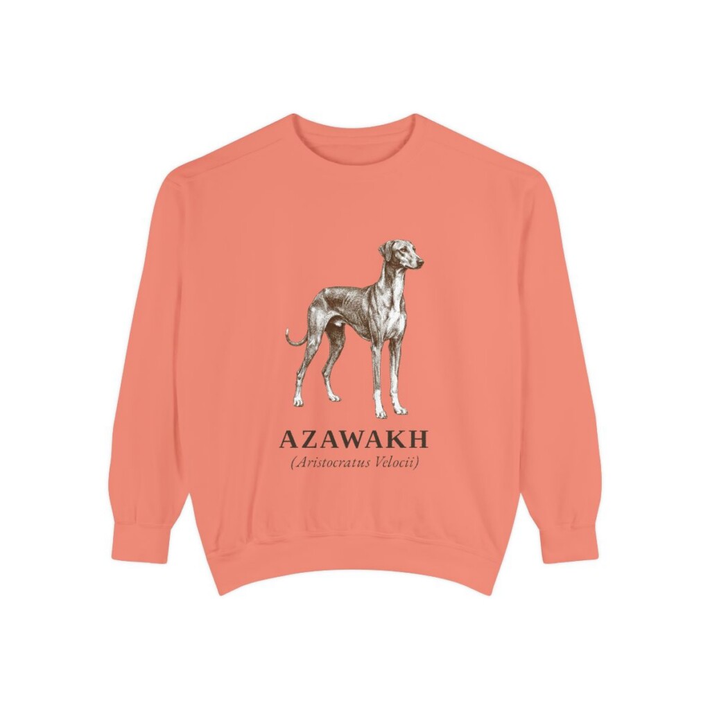 Azawakh Latin Sweatshirt, Terracotta, front view