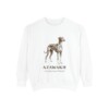 Azawakh Latin Sweatshirt, White, front view