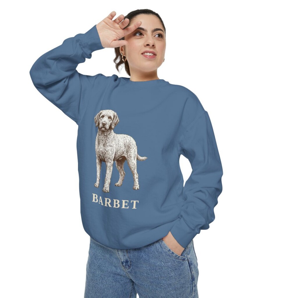 Barbet Sweatshirt, Blue Jean, person 2 context