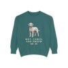 Barbet Humor Sweatshirt, Blue Spruce, front view