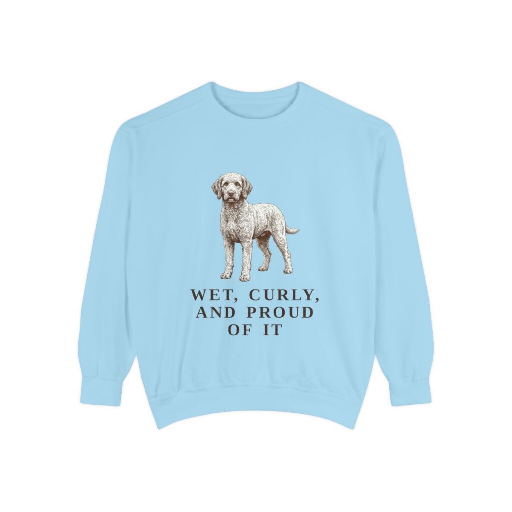 Barbet Humor Sweatshirt, Chambray, front view