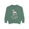 Barbet Humor Sweatshirt, Light Green, front view