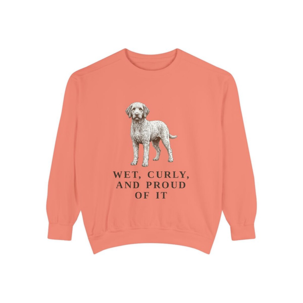 Barbet Humor Sweatshirt, Terracotta, front view