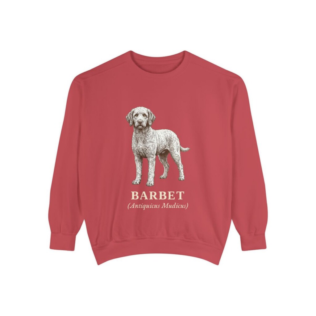 Barbet Latin Sweatshirt, Crimson, front view