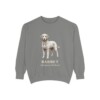 Barbet Latin Sweatshirt, Grey, front view
