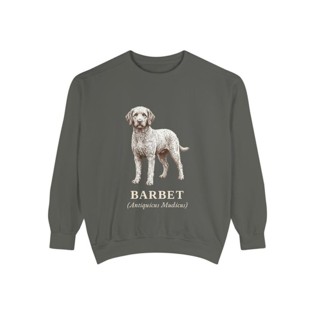 Barbet Latin Sweatshirt, Pepper, front view