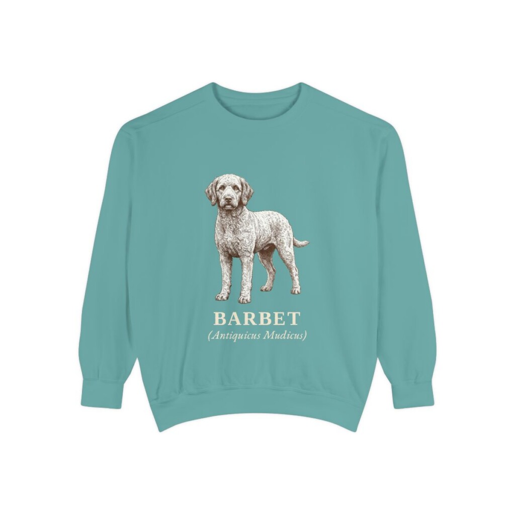 Barbet Latin Sweatshirt, Seafoam, front view