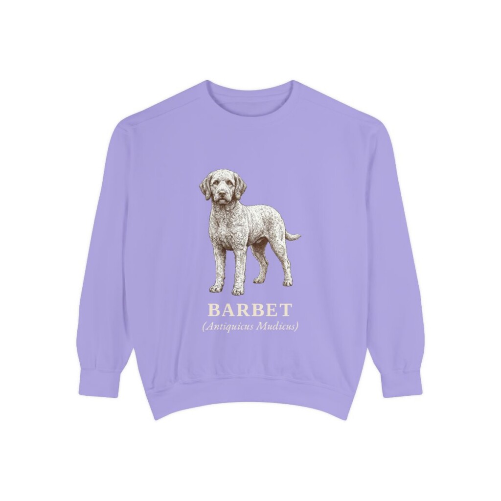 Barbet Latin Sweatshirt, Violet, front view