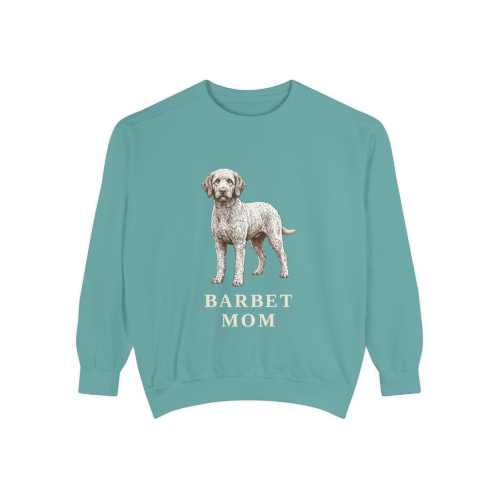 Barbet Mom Sweatshirt, Seafoam, front view