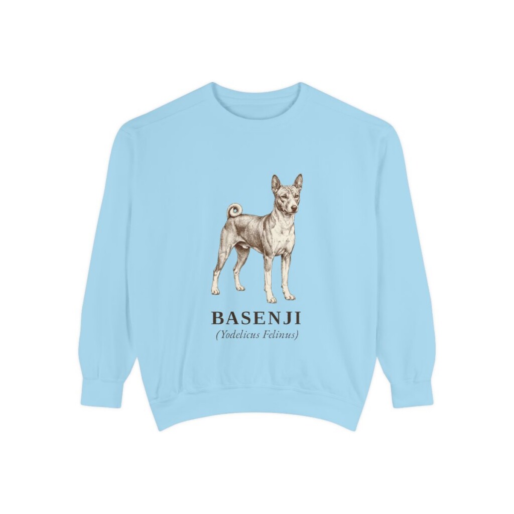 Basenji Latin Sweatshirt, Chambray, front view