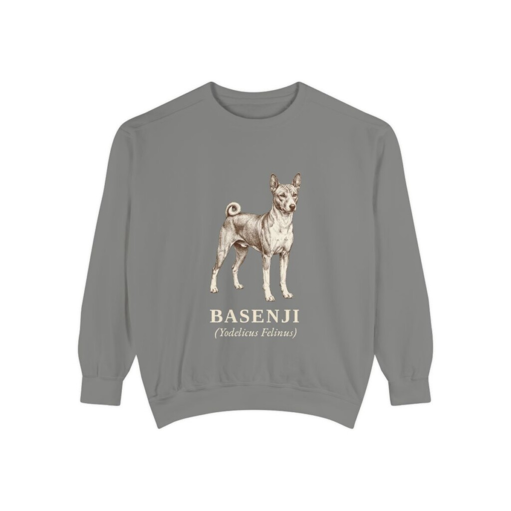 Basenji Latin Sweatshirt, Grey, front view