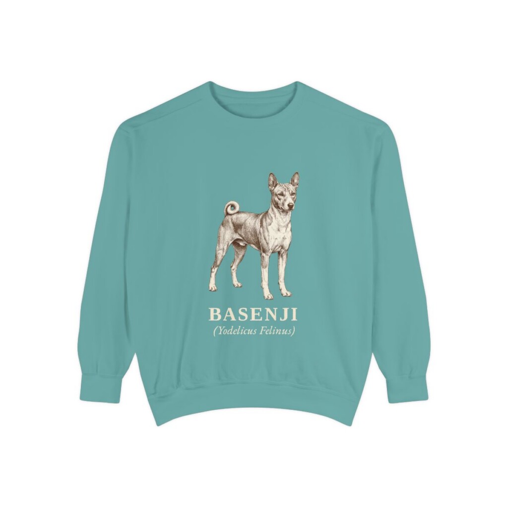 Basenji Latin Sweatshirt, Seafoam, front view