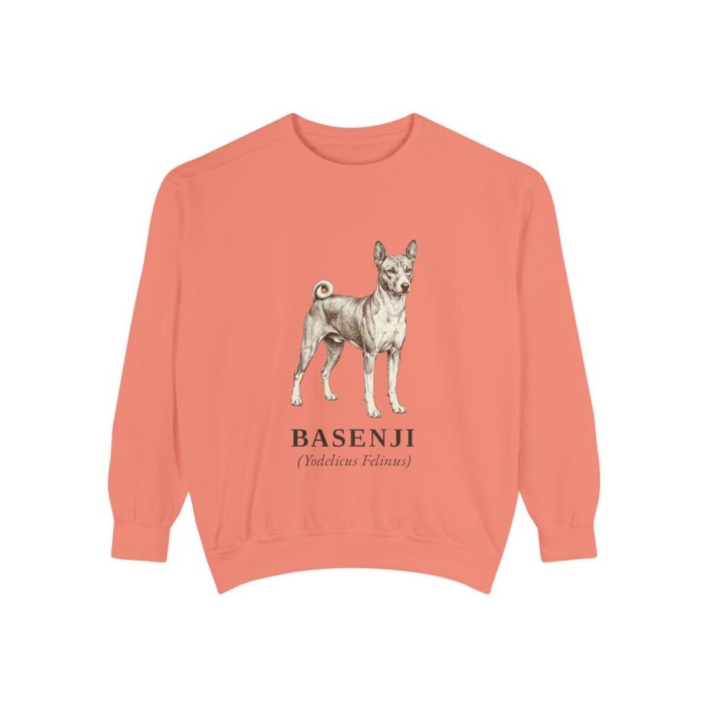 Basenji Latin Sweatshirt, Terracotta, front view