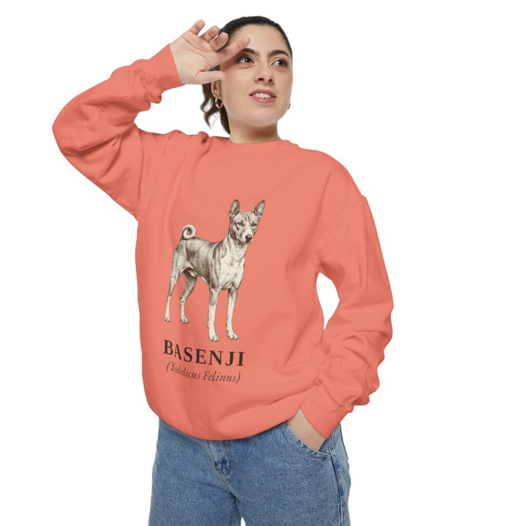 Basenji Latin Sweatshirt, Terracotta, person 2 context