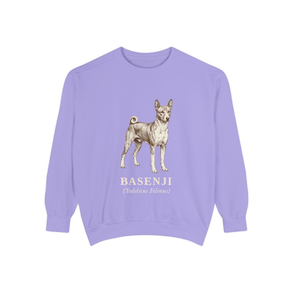 Basenji Latin Sweatshirt, Violet, front view