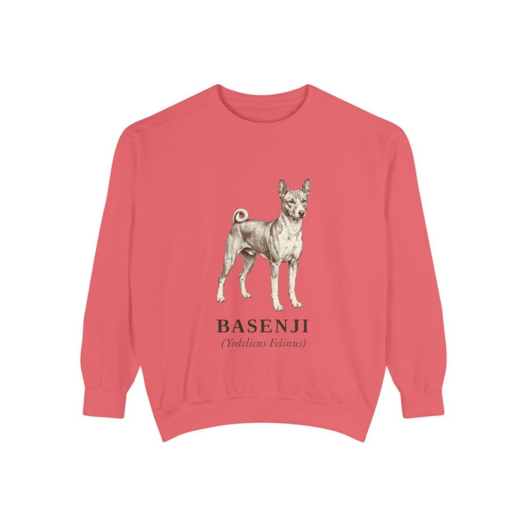 Basenji Latin Sweatshirt, Watermelon, front view