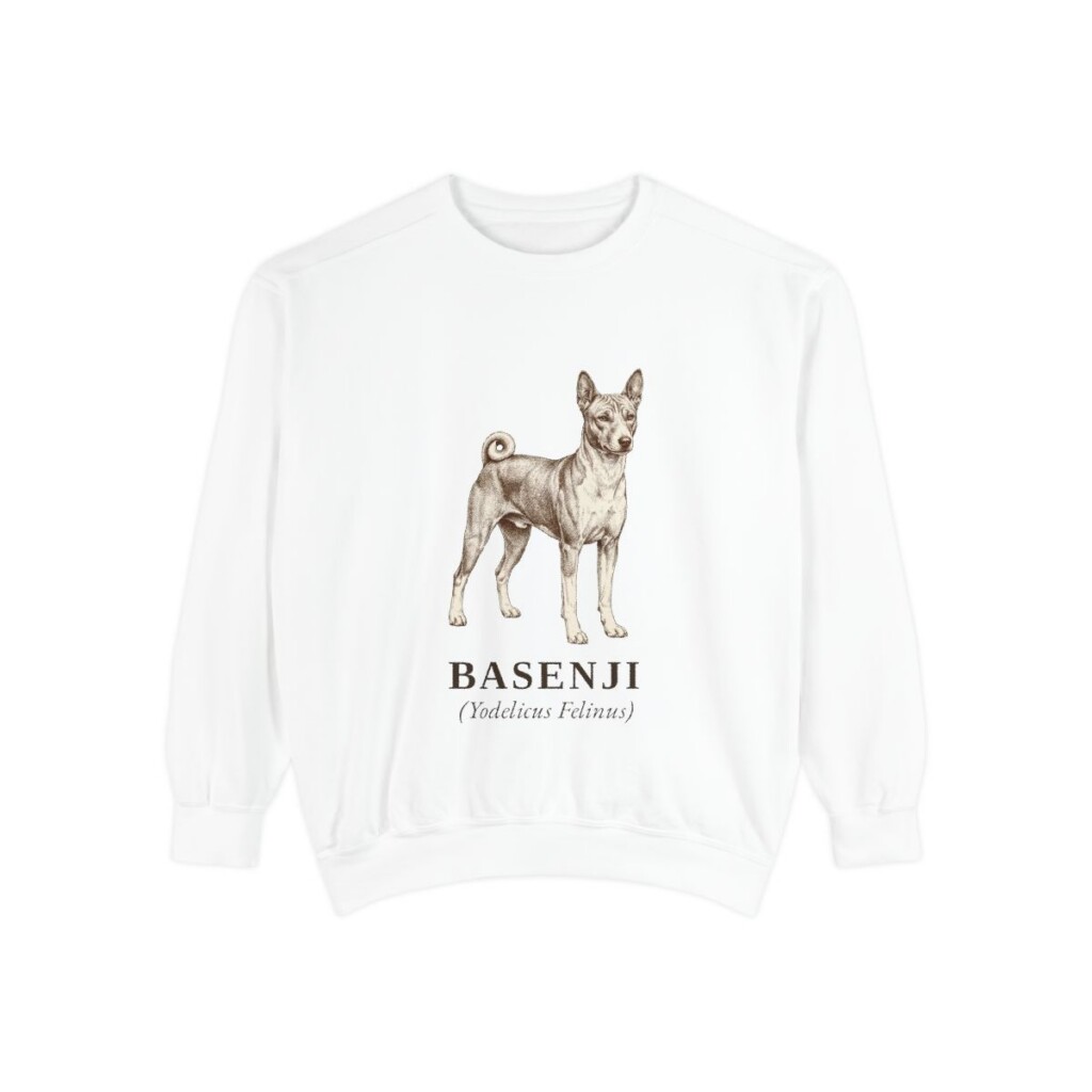 Basenji Latin Sweatshirt, White, front view