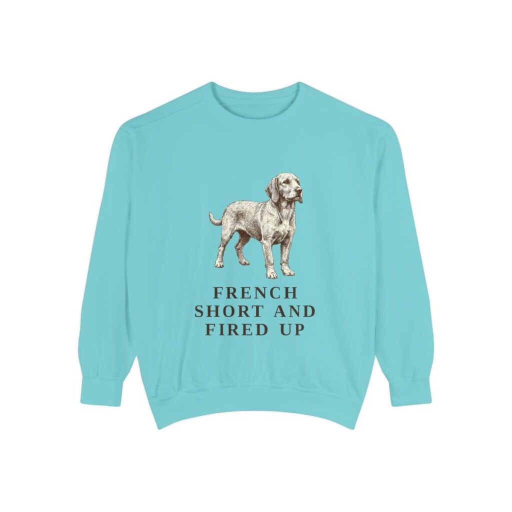 Basset Fauve de Bretagne Humor Sweatshirt, Chalky Mint, front view