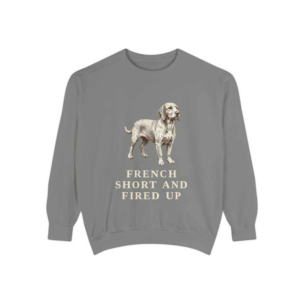 Basset Fauve de Bretagne Humor Sweatshirt, Grey, front view