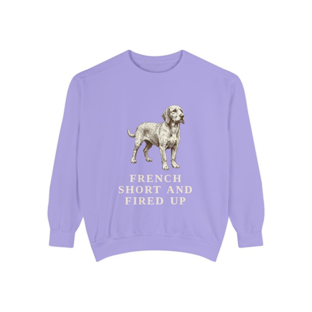 Basset Fauve de Bretagne Humor Sweatshirt, Violet, front view