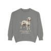 Basset Fauve de Bretagne Latin Sweatshirt, Grey, front view