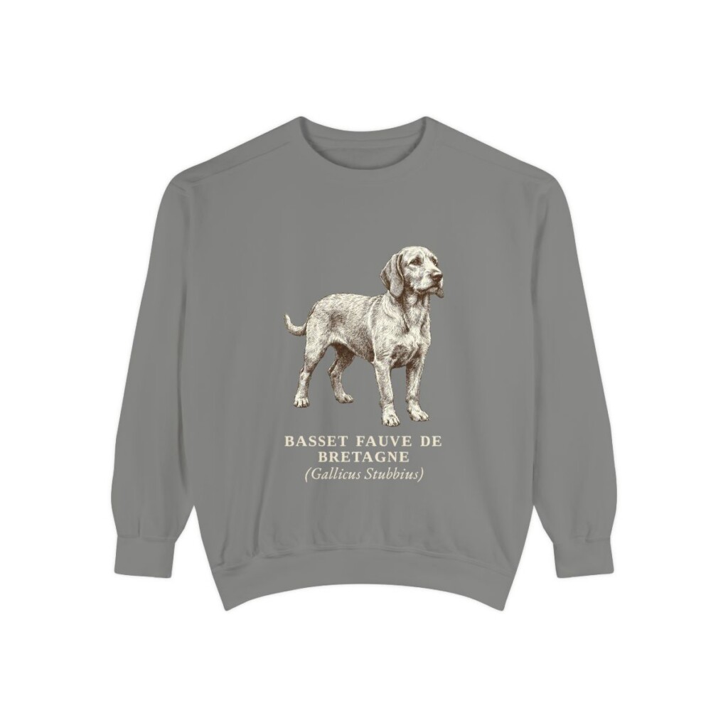 Basset Fauve de Bretagne Latin Sweatshirt, Grey, front view