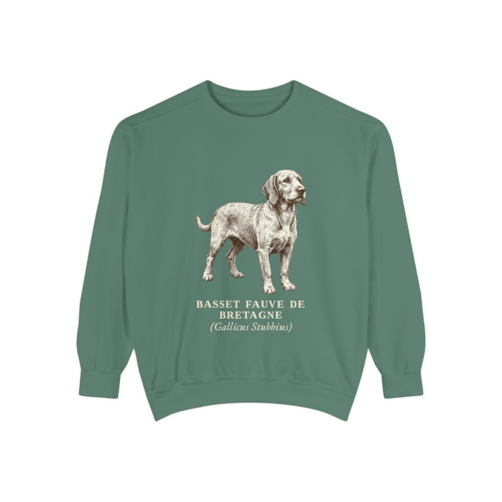Basset Fauve de Bretagne Latin Sweatshirt, Light Green, front view