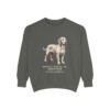 Basset Fauve de Bretagne Latin Sweatshirt, Pepper, front view