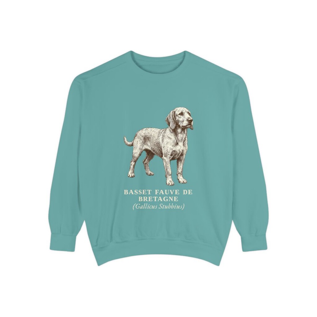 Basset Fauve de Bretagne Latin Sweatshirt, Seafoam, front view