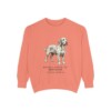 Basset Fauve de Bretagne Latin Sweatshirt, Terracotta, front view